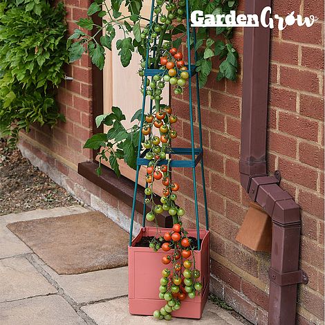 Garden Grow Self Watering 4 Tier Tomato Tower
